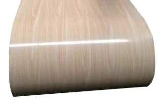 도장된 아연 도금 강철 코일 PPGI ASTM STEEL